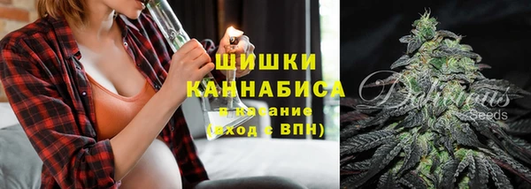 гидра Лихославль