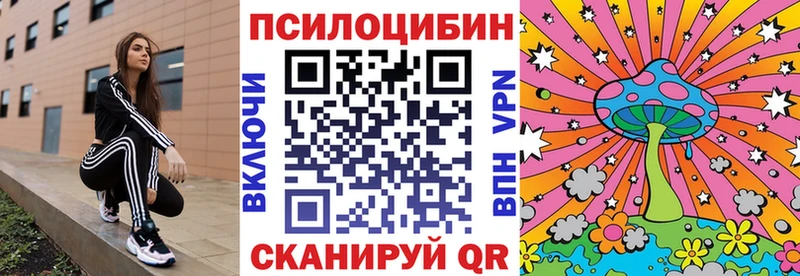 наркота  Томилино  Псилоцибиновые грибы Psilocybine cubensis 